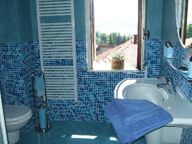 Le bain avec douche