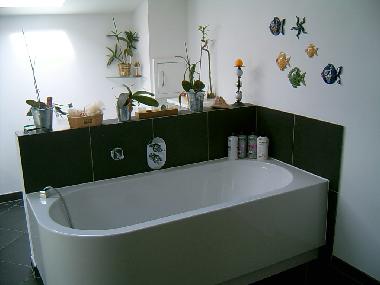 Maison de vacances �/en/au Malente (Holsteinische Schweiz)ou appartement ou maison de vacances