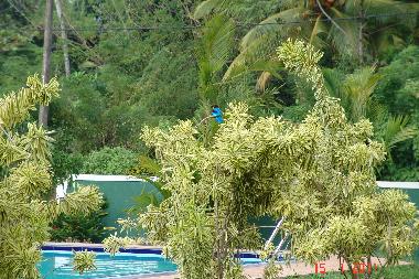 Villa /en/au Aluthgama (Kalutara)ou appartement ou maison de vacances