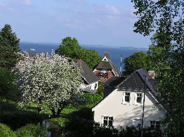 Maison de vacances �/en/au Sierksdorf (Ostsee-Festland)ou appartement ou maison de vacances