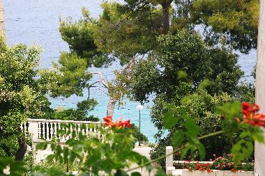 Appartement de vacances /en/au prigradica (Dubrovacko-Neretvanska)ou appartement ou maison de vacances