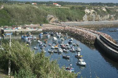 Maison de vacances �/en/au Almograve (Alentejo Litoral)ou appartement ou maison de vacances