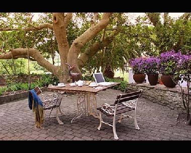 Chambre avec petit d�jeuner �/en/au Wilderness (Western Cape)ou appartement ou maison de vacances