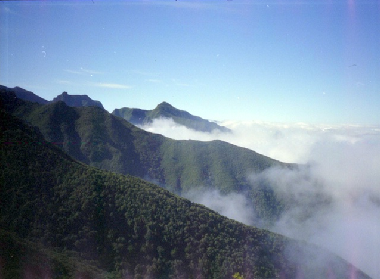 Appartement de vacances /en/au Canico  (Madeira)ou appartement ou maison de vacances