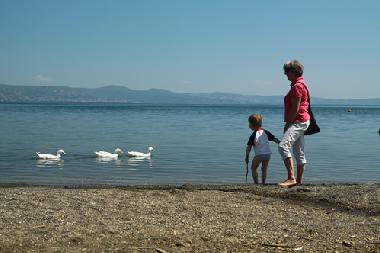 Maison de vacances /en/au Canale Monterano (Roma)ou appartement ou maison de vacances