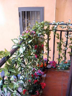 Appartement de vacances �/en/au rome (Rome)ou appartement ou maison de vacances