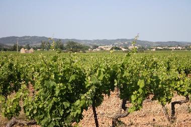 Maison de vacances �/en/au Canet d
