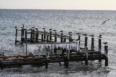 Appartement de vacances �/en/au Seebad Breege Juliusruh (Ostsee-Inseln)ou appartement ou maison de vacances