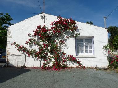Maison de vacances /en/au Meursac (Charente-Maritime)ou appartement ou maison de vacances