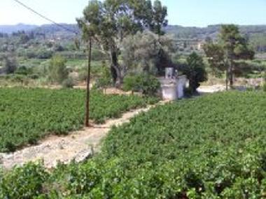 Maison de vacances /en/au Karlovassi (Samos)ou appartement ou maison de vacances