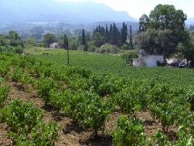 Maison de vacances /en/au Karlovassi (Samos)ou appartement ou maison de vacances