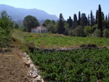 Maison de vacances /en/au Karlovassi (Samos)ou appartement ou maison de vacances