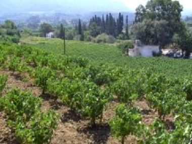 Maison de vacances /en/au Karlovassi (Samos)ou appartement ou maison de vacances