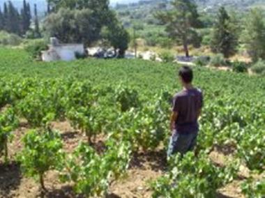 Maison de vacances /en/au Karlovassi (Samos)ou appartement ou maison de vacances