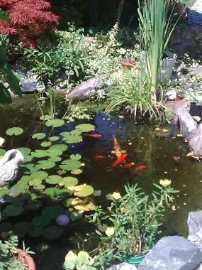 Maison de vacances �/en/au Balatonbogl�r (Somogy)ou appartement ou maison de vacances