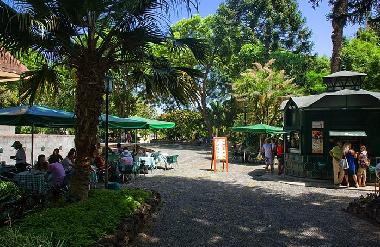 Appartement de vacances �/en/au Funchal (Madeira)ou appartement ou maison de vacances