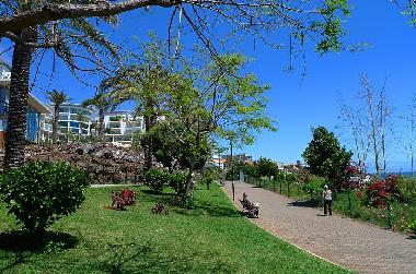 Appartement de vacances �/en/au Funchal (Madeira)ou appartement ou maison de vacances