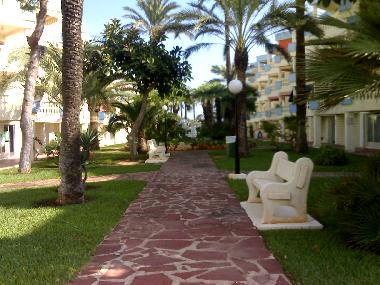 Appartement de vacances �/en/au DENIA  (Alicante / Alacant)ou appartement ou maison de vacances