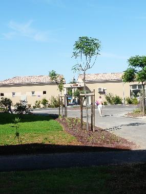 Vue du bungalow vers piscine