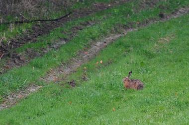 Maison de vacances /en/au Uherce Mineralne (Podkarpackie)ou appartement ou maison de vacances
