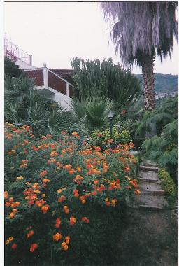 Appartement de vacances /en/au joppolo (Vibo Valentia)ou appartement ou maison de vacances