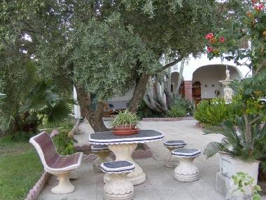 Appartement de vacances /en/au joppolo (Vibo Valentia)ou appartement ou maison de vacances