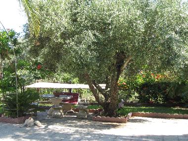 Appartement de vacances /en/au joppolo (Vibo Valentia)ou appartement ou maison de vacances