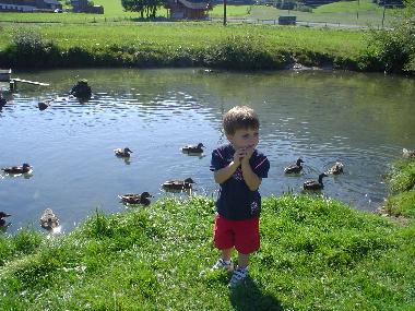 Appartement de vacances /en/au Abtenau (Salzburg und Umgebung)ou appartement ou maison de vacances