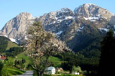 Appartement de vacances /en/au Abtenau (Salzburg und Umgebung)ou appartement ou maison de vacances