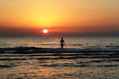 Appartement de vacances �/en/au OLIVA (Valencia / Val�ncia)ou appartement ou maison de vacances
