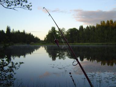 Maison de vacances �/en/au Virserum (Smaland)ou appartement ou maison de vacances