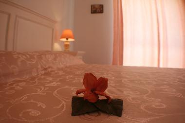 Maison de vacances /en/au Dubrovnik (Dubrovacko-Neretvanska)ou appartement ou maison de vacances