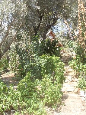 Chalet �/en/au Olympos (Antalya)ou appartement ou maison de vacances