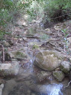 Chalet �/en/au Olympos (Antalya)ou appartement ou maison de vacances