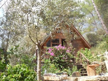 Chalet �/en/au Olympos (Antalya)ou appartement ou maison de vacances