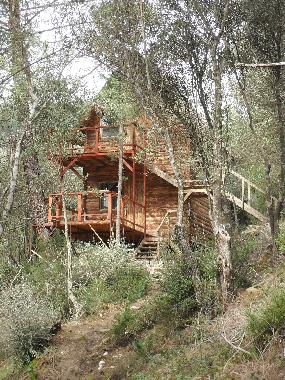 Chalet �/en/au Olympos (Antalya)ou appartement ou maison de vacances