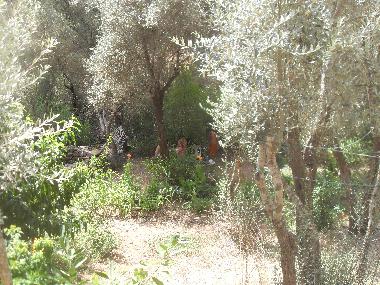 Chalet �/en/au Olympos (Antalya)ou appartement ou maison de vacances