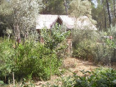 Chalet �/en/au Olympos (Antalya)ou appartement ou maison de vacances