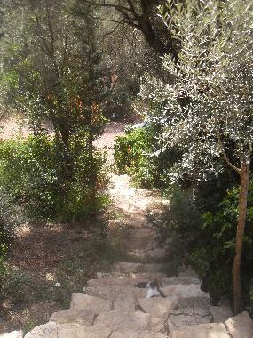 Chalet �/en/au Olympos (Antalya)ou appartement ou maison de vacances