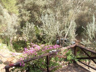 Chalet �/en/au Olympos (Antalya)ou appartement ou maison de vacances