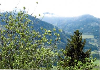Appartement de vacances �/en/au P�ls ob Judenburg (Westliche Obersteiermark)ou appartement ou maison de vacances