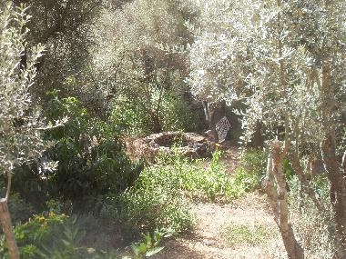 Chalet �/en/au Olympos (Antalya)ou appartement ou maison de vacances