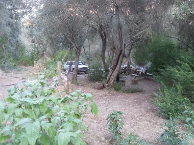 Chalet �/en/au Olympos (Antalya)ou appartement ou maison de vacances