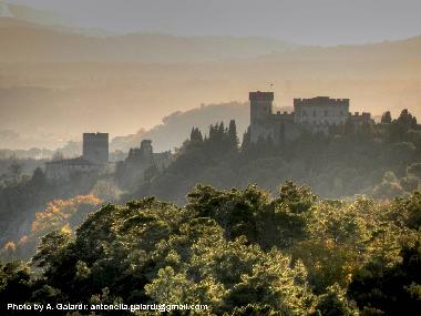 Appartement de vacances /en/au Poggibonsi (Siena)ou appartement ou maison de vacances