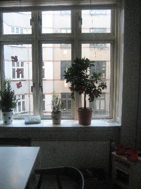 Appartement de vacances �/en/au Copenhagen (Kobenhavn)ou appartement ou maison de vacances