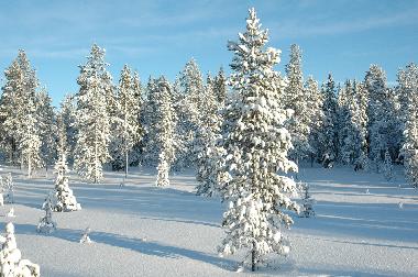Maison de vacances �/en/au S�LEN-Tand�dalen (Dalarna)ou appartement ou maison de vacances