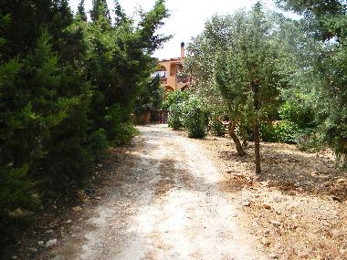 Appartement de vacances �/en/au Alghero (Sassari)ou appartement ou maison de vacances
