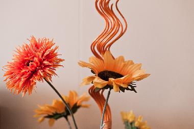 Appartement de vacances �/en/au �safj�r�ur (Isafjordur)ou appartement ou maison de vacances