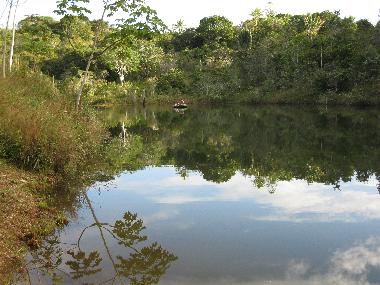 Maison de vacances �/en/au Itacar� (Bahia)ou appartement ou maison de vacances