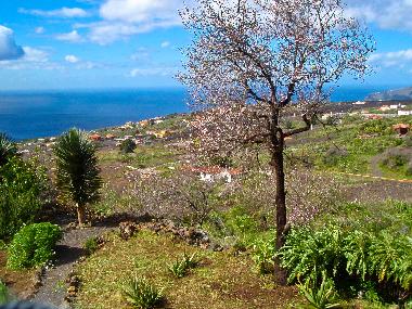 Maison de vacances /en/au Las Manchas (La Palma und El Hierro)ou appartement ou maison de vacances